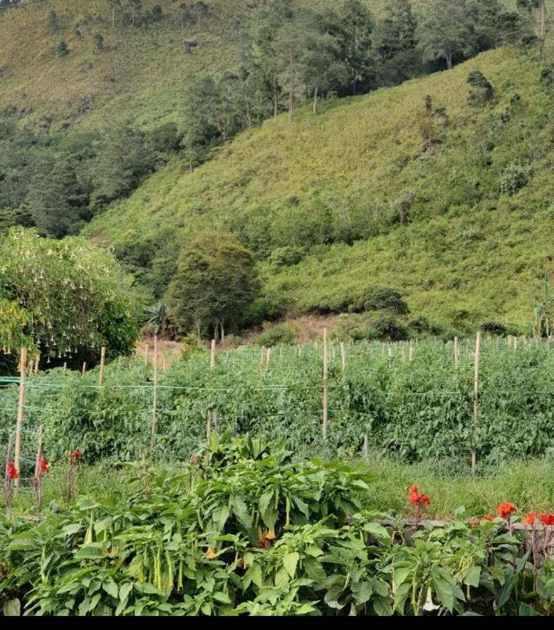 Villa Gunung Mas Berastagi Buitenkant foto